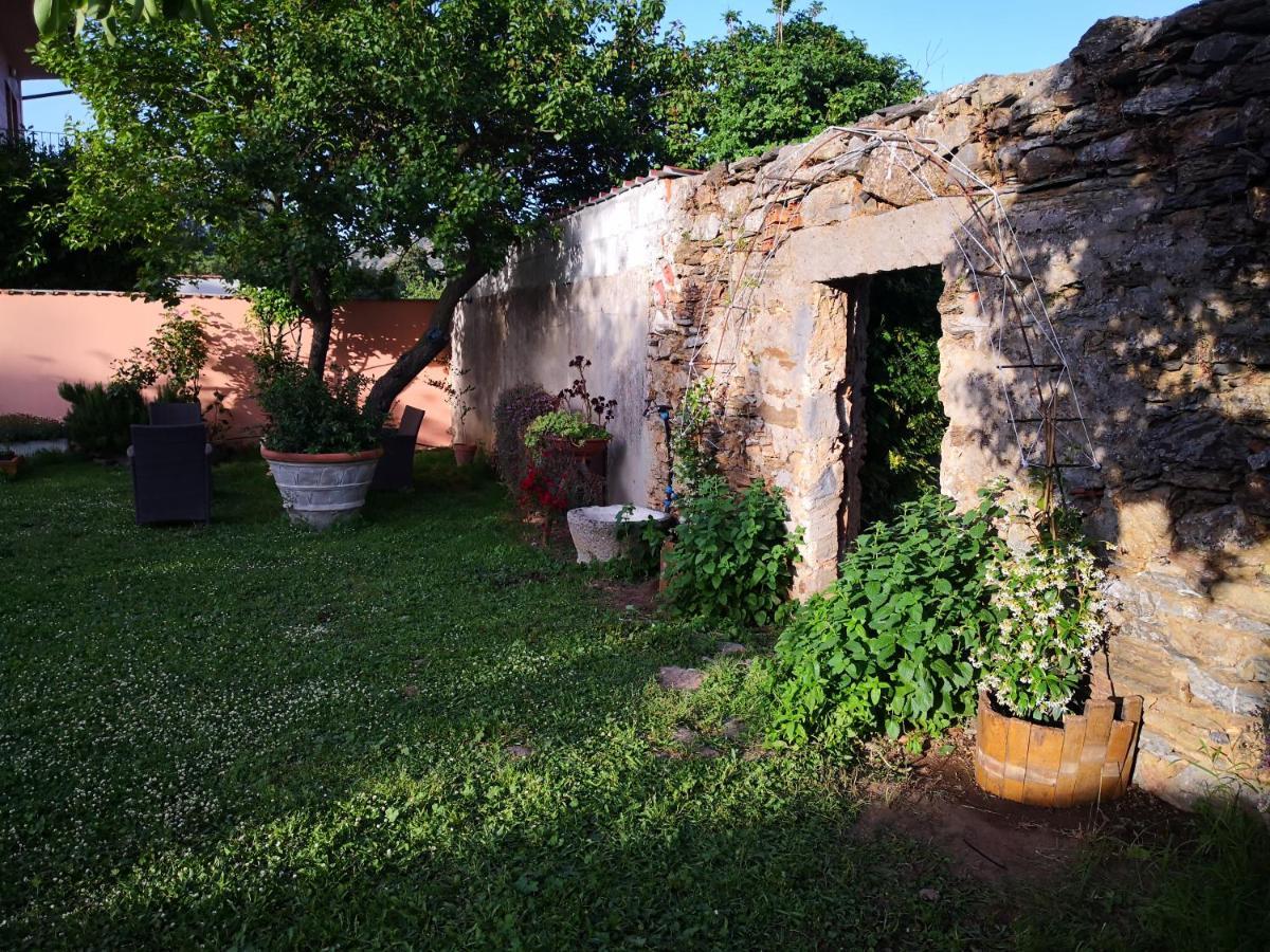 Zia Chiarina Bed and Breakfast San Nicolo Gerrei Buitenkant foto