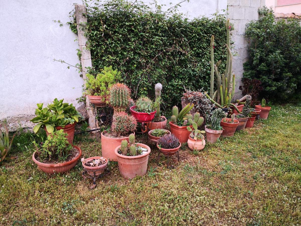 Zia Chiarina Bed and Breakfast San Nicolo Gerrei Buitenkant foto