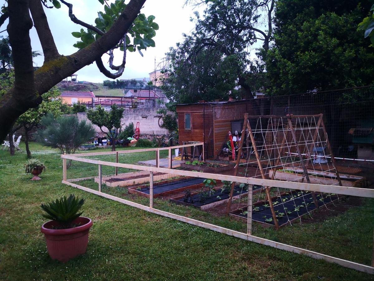 Zia Chiarina Bed and Breakfast San Nicolo Gerrei Buitenkant foto