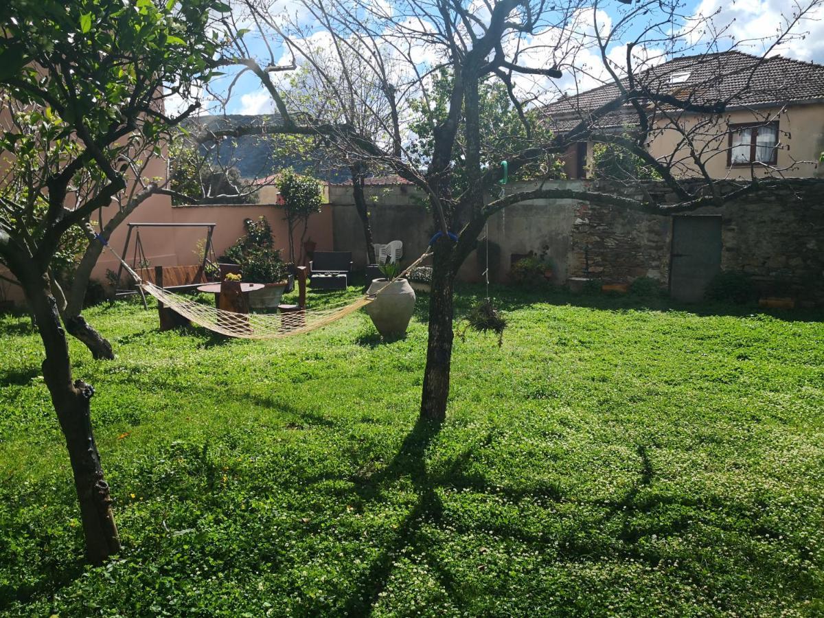 Zia Chiarina Bed and Breakfast San Nicolo Gerrei Buitenkant foto