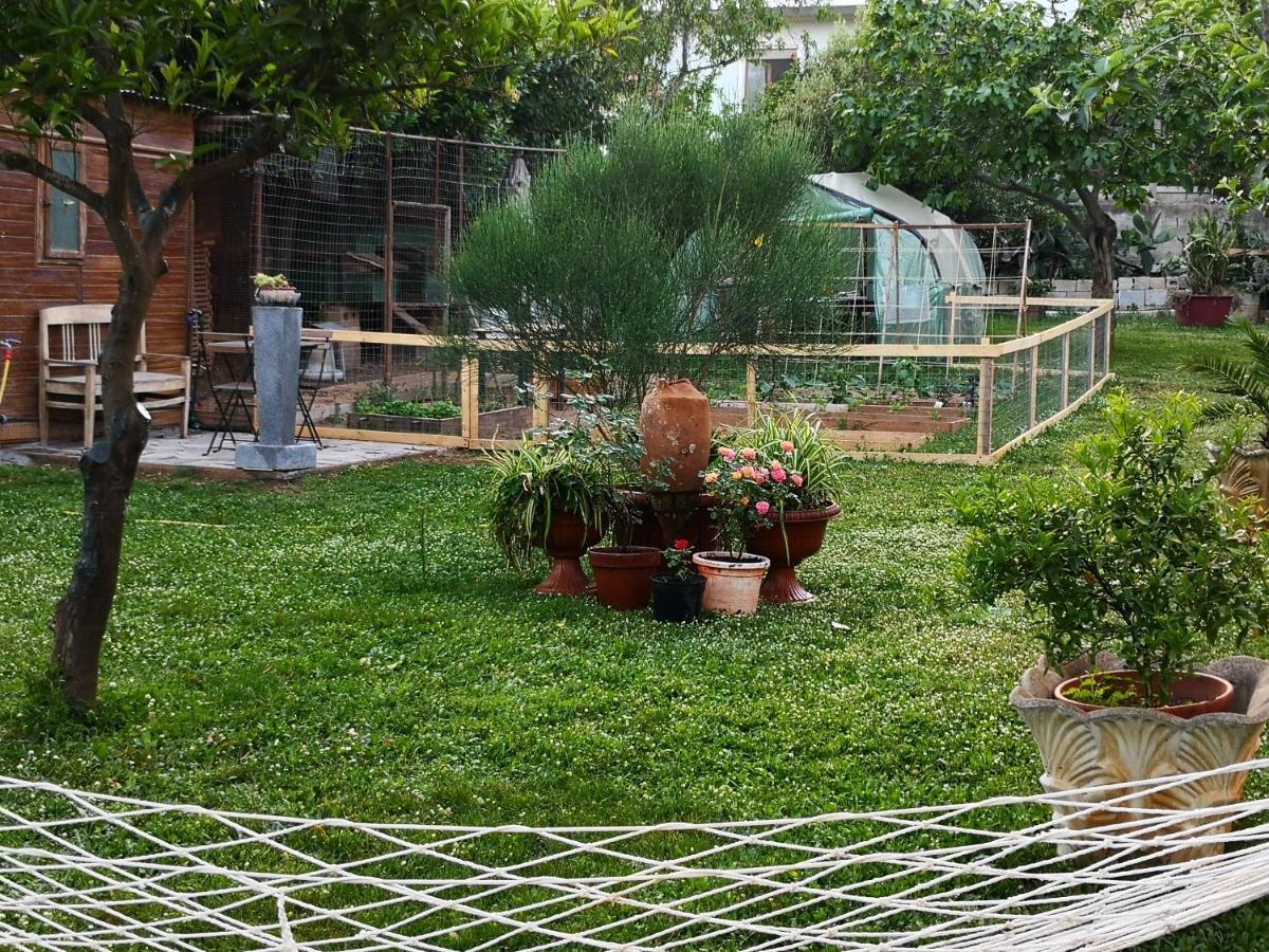 Zia Chiarina Bed and Breakfast San Nicolo Gerrei Buitenkant foto