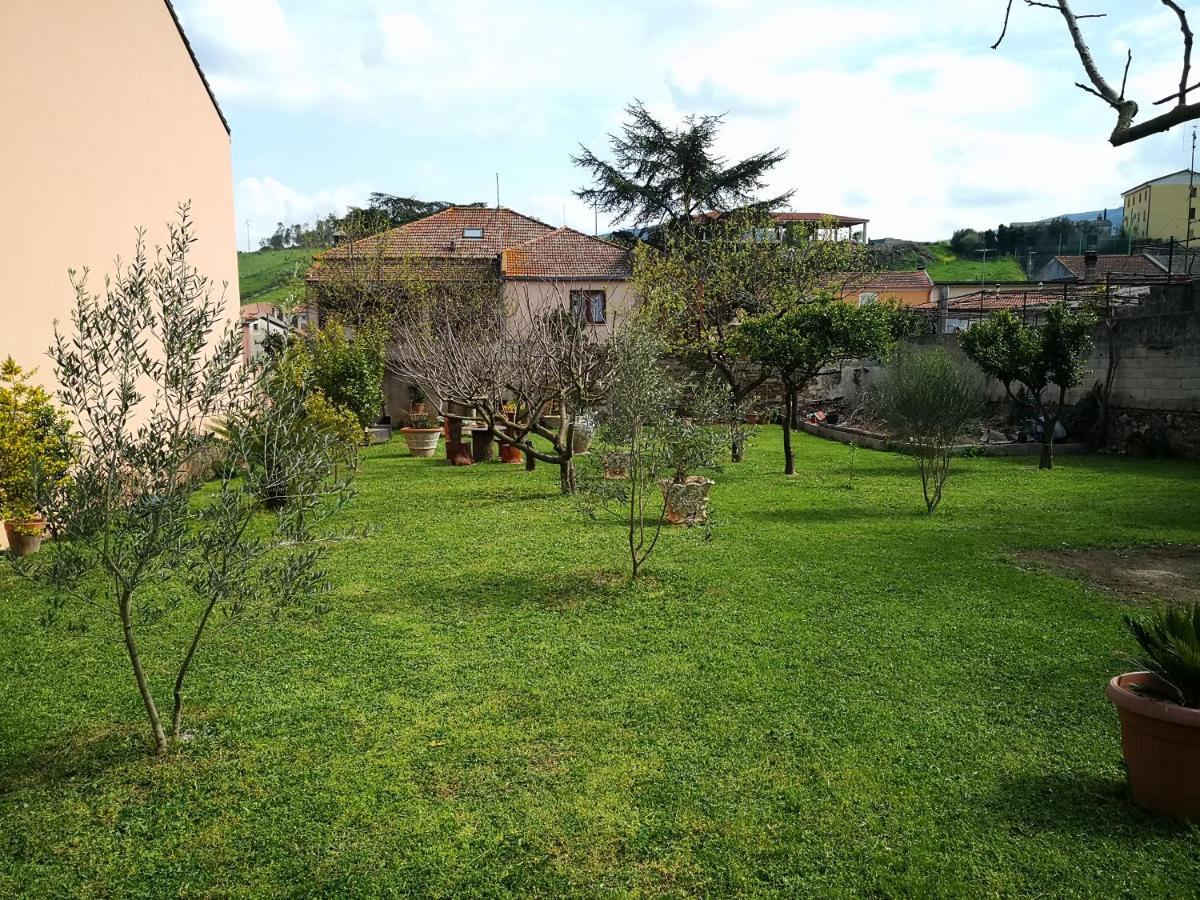Zia Chiarina Bed and Breakfast San Nicolo Gerrei Buitenkant foto