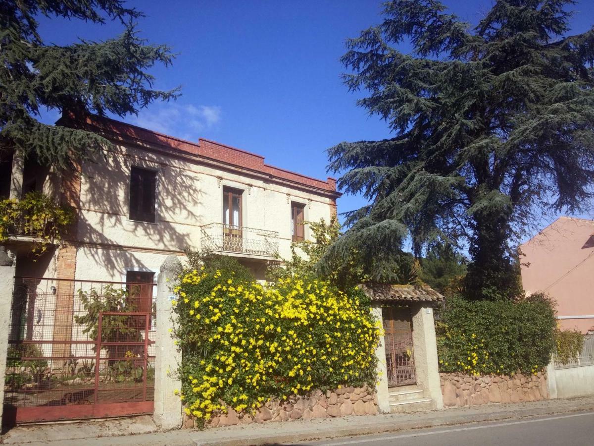 Zia Chiarina Bed and Breakfast San Nicolo Gerrei Buitenkant foto