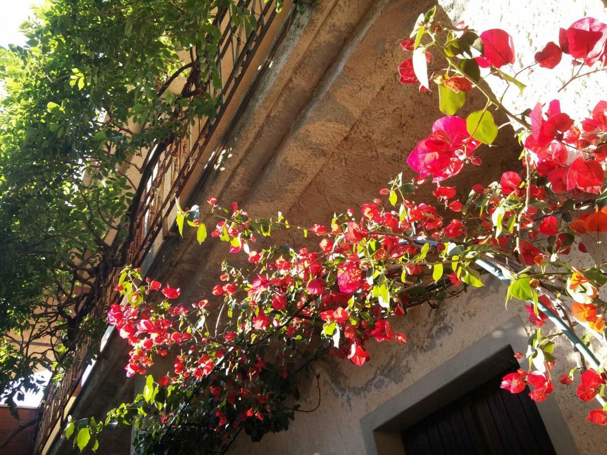 Zia Chiarina Bed and Breakfast San Nicolo Gerrei Buitenkant foto