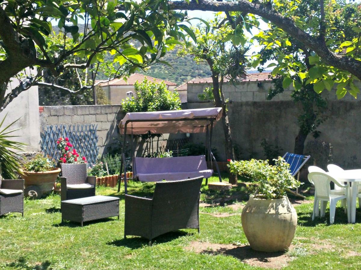 Zia Chiarina Bed and Breakfast San Nicolo Gerrei Buitenkant foto