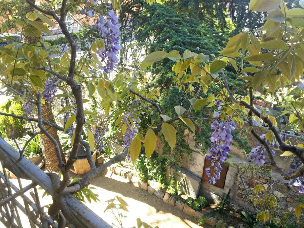 Zia Chiarina Bed and Breakfast San Nicolo Gerrei Buitenkant foto