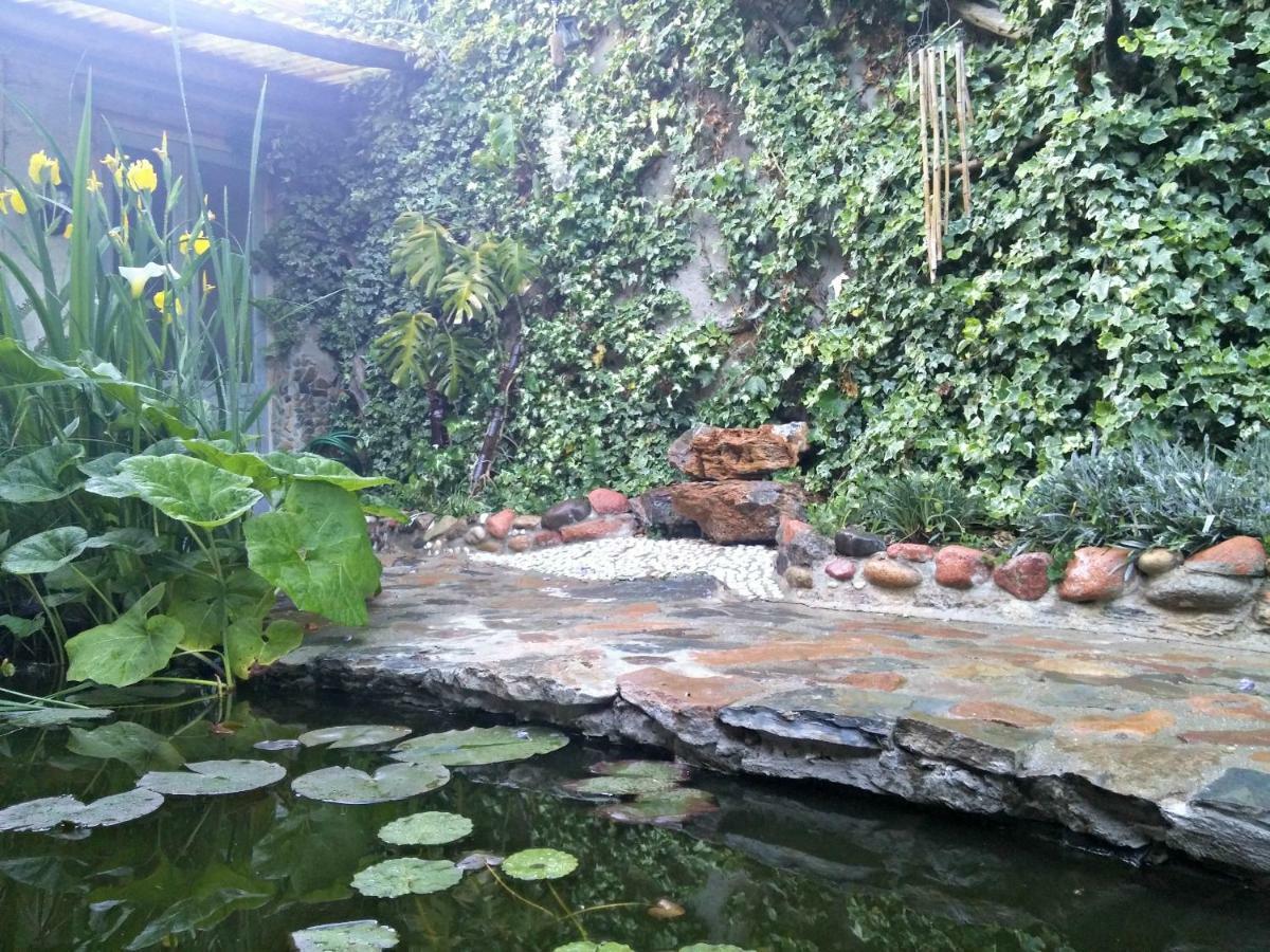 Zia Chiarina Bed and Breakfast San Nicolo Gerrei Buitenkant foto