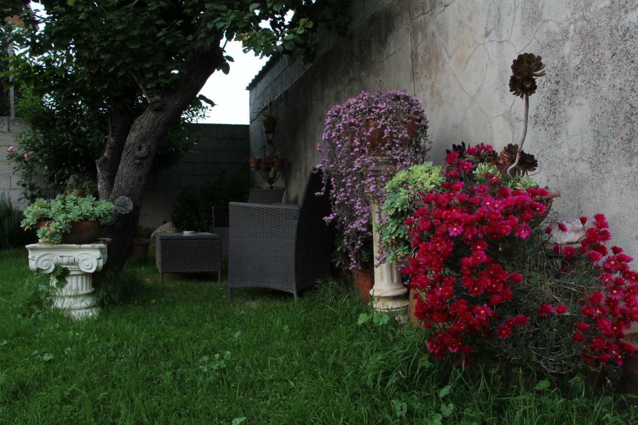 Zia Chiarina Bed and Breakfast San Nicolo Gerrei Buitenkant foto